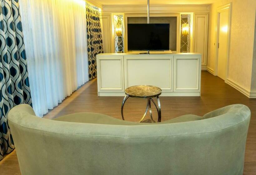 酒店 Anemon Aydın