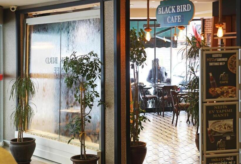 The Parma Hotel Downtown