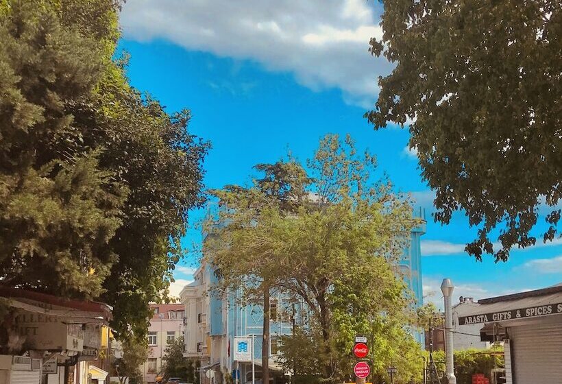 Blue House Hotel Old City   Sultanahmet