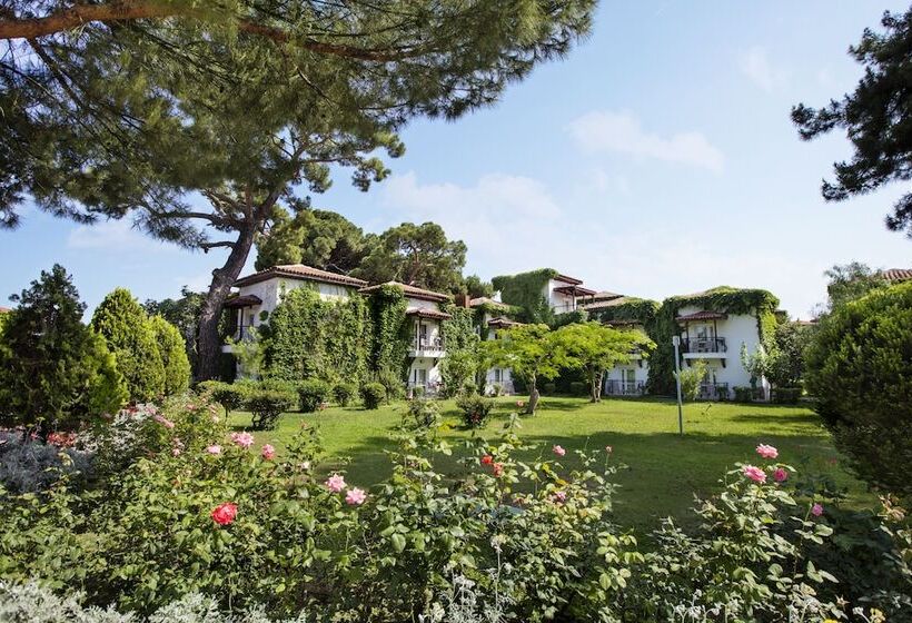 Hotel Club Marco Polo   Premium All Inclusive