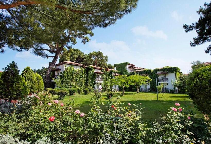 Hotel Club Marco Polo   Premium All Inclusive