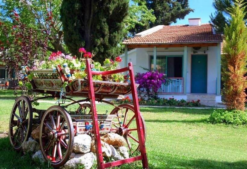 Отель Kustur Club Holiday Village All Inclusive