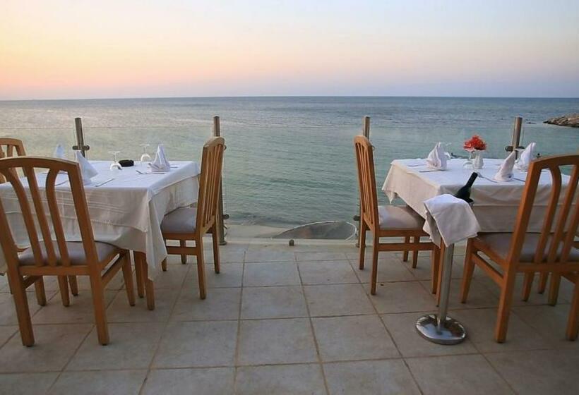 ホテル Les Palmiers