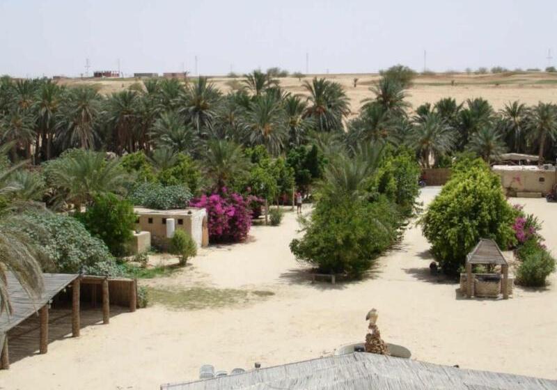 هتل Palm Beach Palace Tozeur