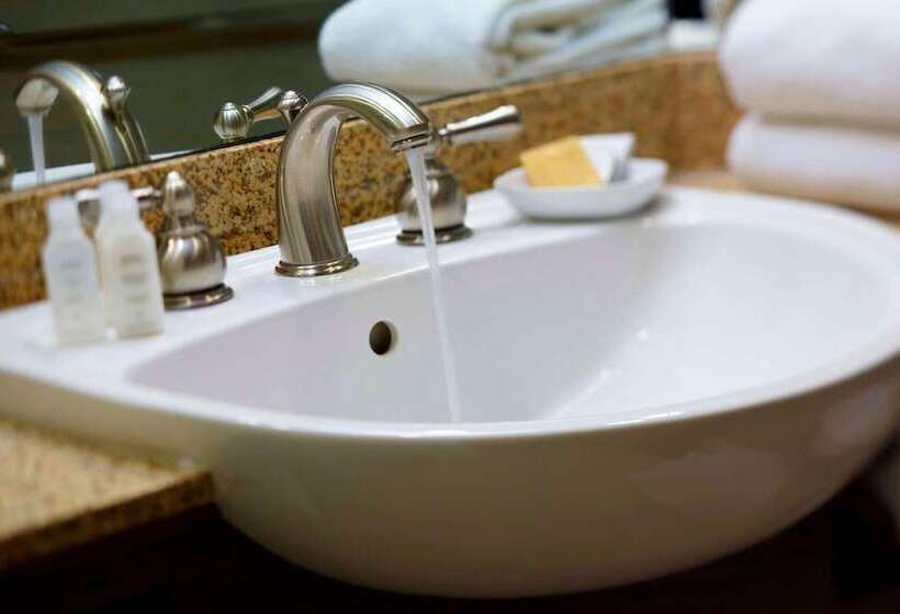 בית מלון כפרי Renaissance Columbus Downtown