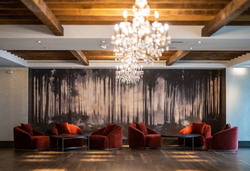 ホテル Sheraton Denver Downtown