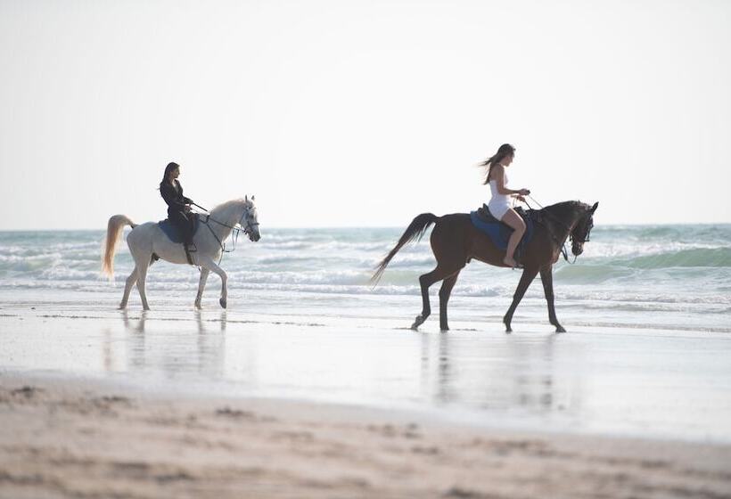 בית מלון כפרי Umm Al Quwain Beach