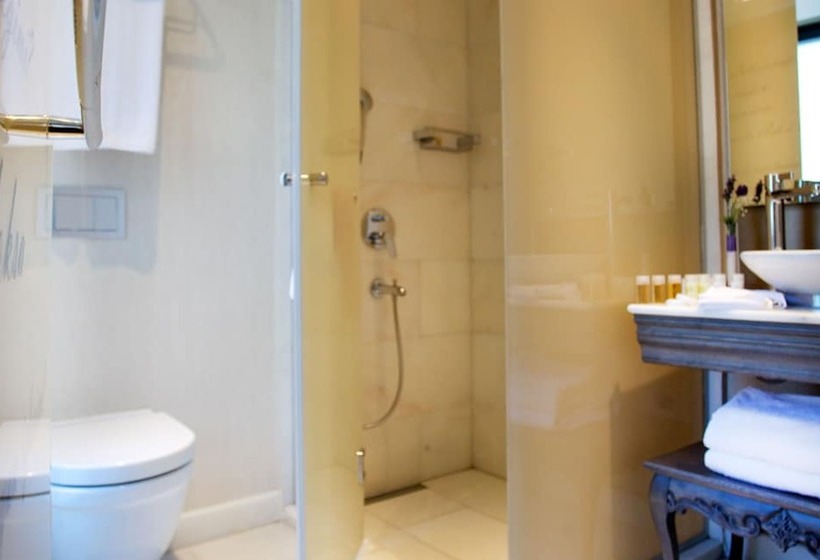 Pierre Loti Hotel Old City  Special Category