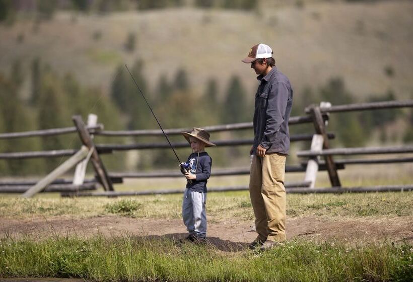 منتجع 320 Guest Ranch