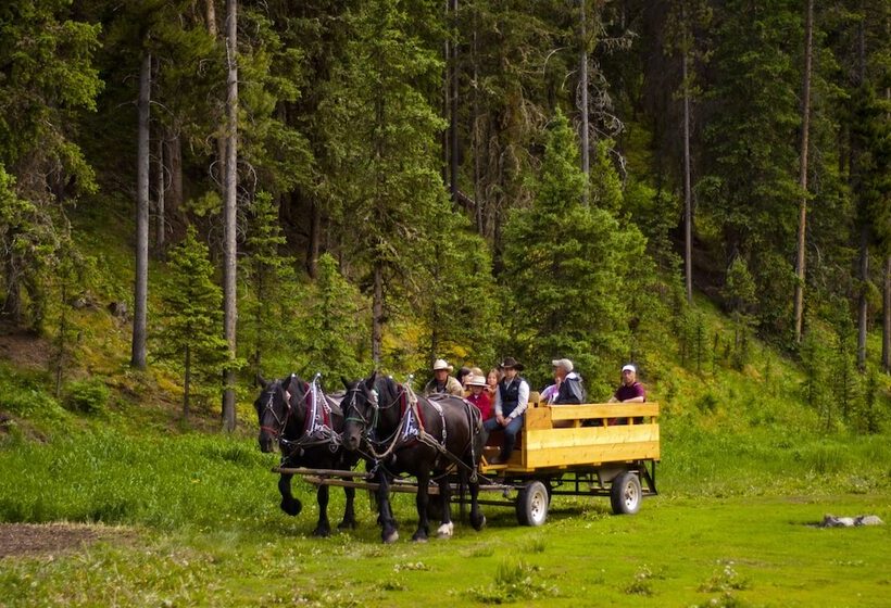 منتجع 320 Guest Ranch