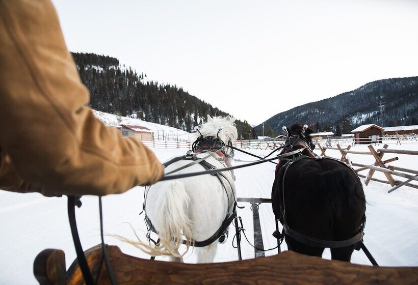 منتجع 320 Guest Ranch