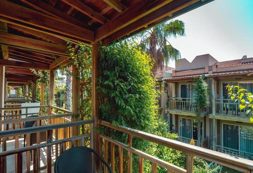 渡假胜地  Paloma Oceana