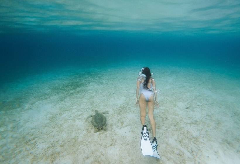 The Westin Beach Resort & Spa At Frenchman S Reef