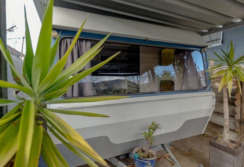 هاستل Tombstone Motel, Lodge & Backpackers