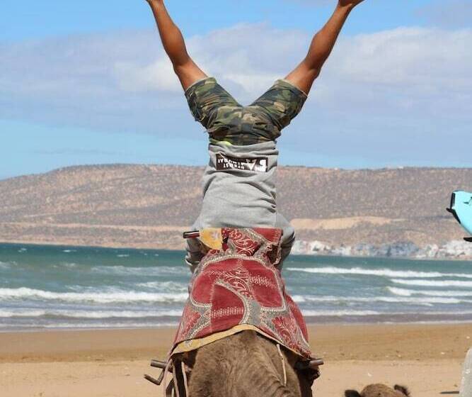 Azul Guest House Taghazout Bay   Hostel