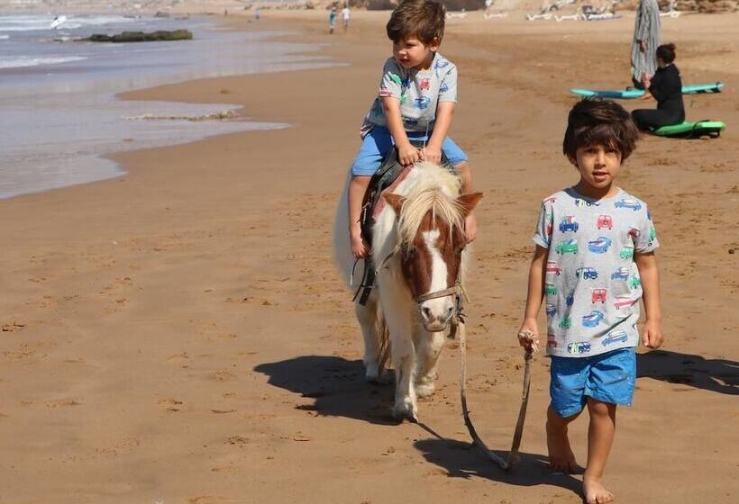 Azul Guest House Taghazout Bay   Hostel