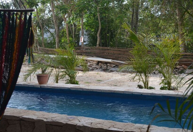 تختخواب و صبحانه Casa San Juan