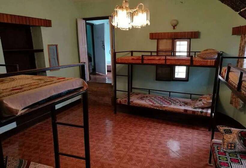 Bed and Breakfast The Nepali Hive