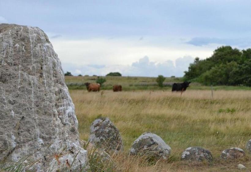 Bed & Breakfast Sirius