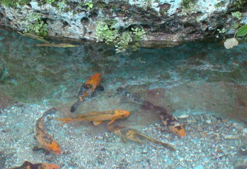 Ceyone Classic Fall Resort