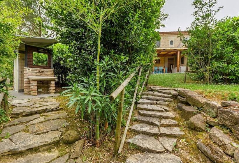 Grande Villa Storica Per Vacanze Con Giardino Privato E Piscina