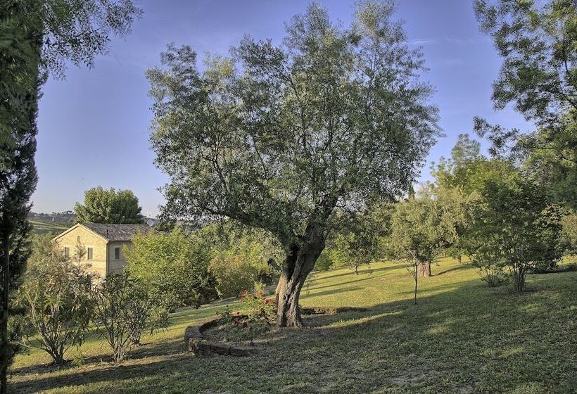 Grande Villa Storica Per Vacanze Con Giardino Privato E Piscina