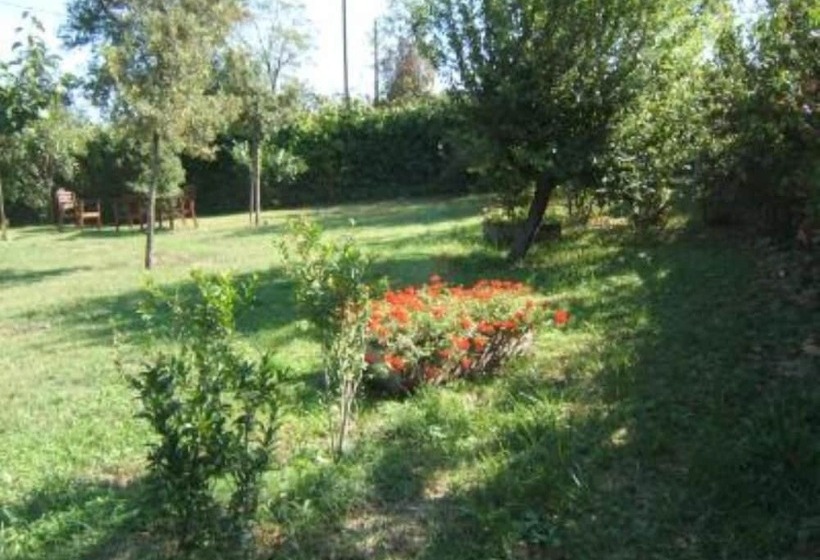 Grande Villa Storica Per Vacanze Con Giardino Privato E Piscina