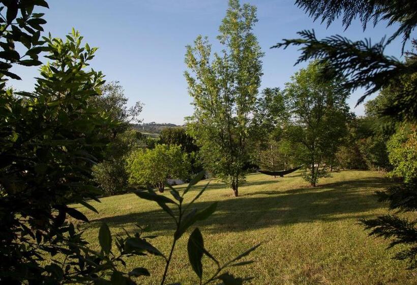 Grande Villa Storica Per Vacanze Con Giardino Privato E Piscina