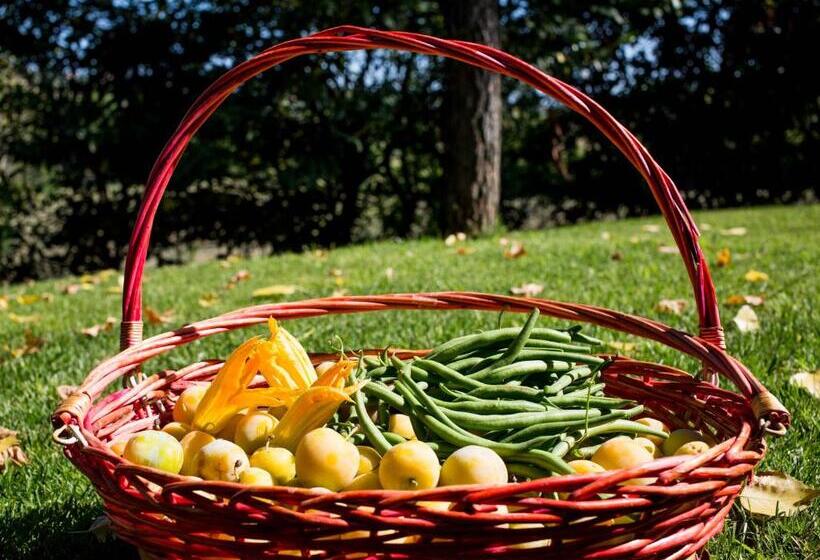 Grande Villa Storica Per Vacanze Con Giardino Privato E Piscina