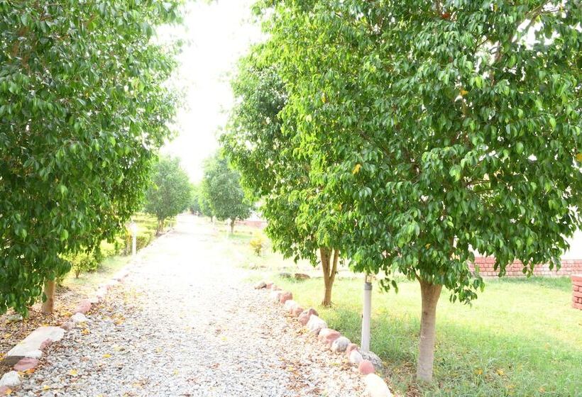 فندق Camp Pawalgarh