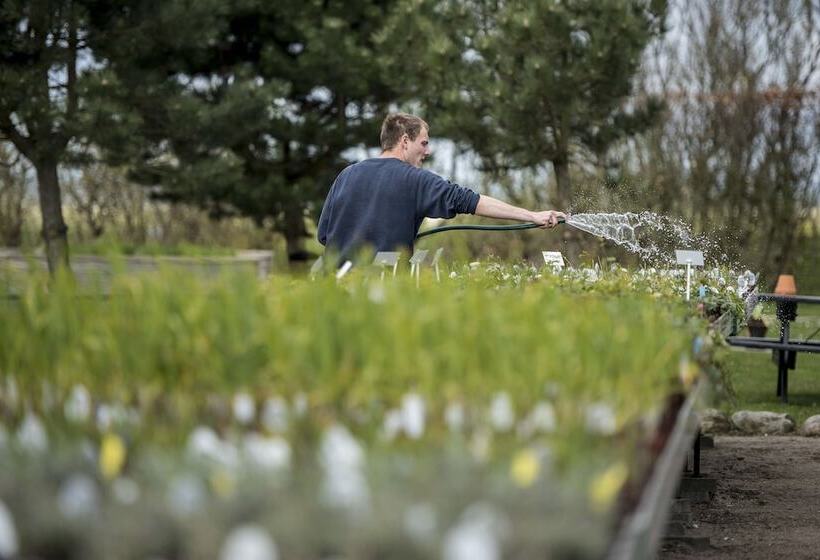 Отель Danhostel Vitskøl Kloster