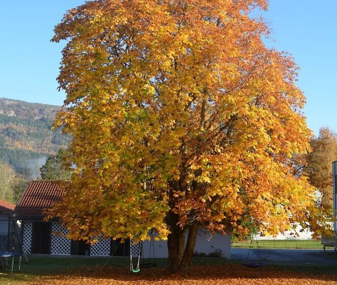 Innvik Fjordhotel   Misjonheimen