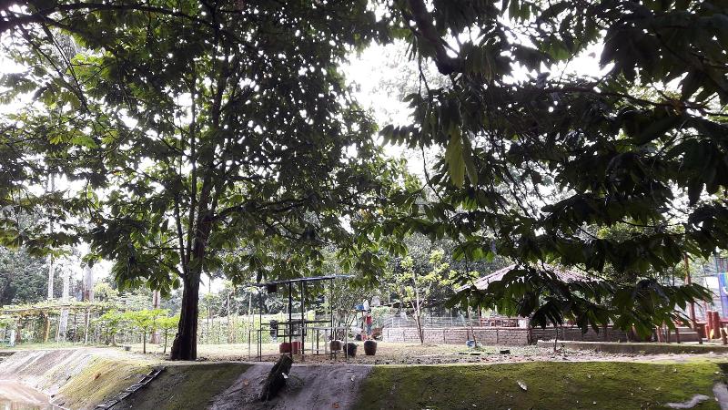 فندق Kampung Janda Baik