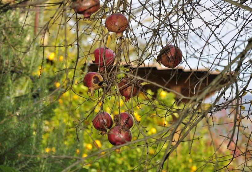 교외 호텔 La Rocca Della Magione