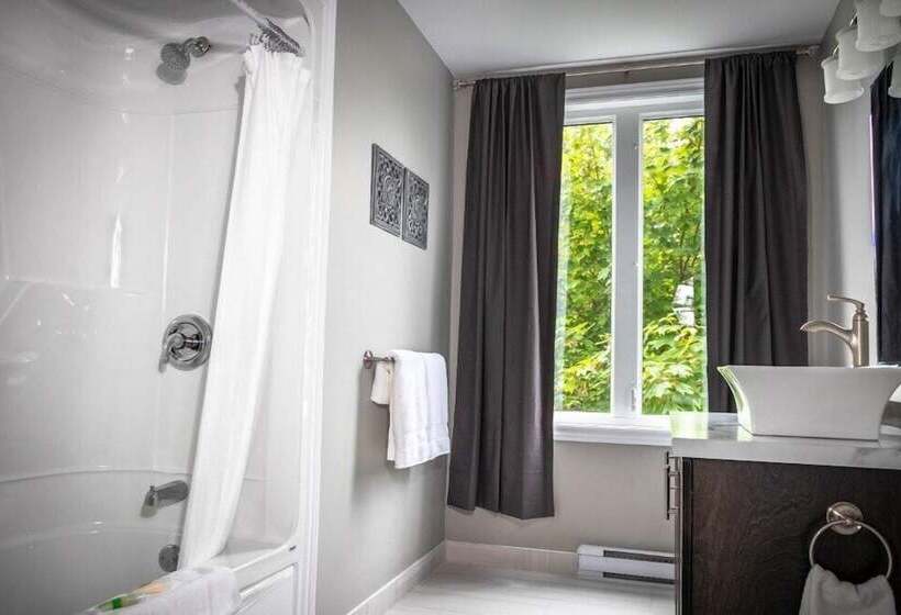 모텔 Newfound Inn & Suites