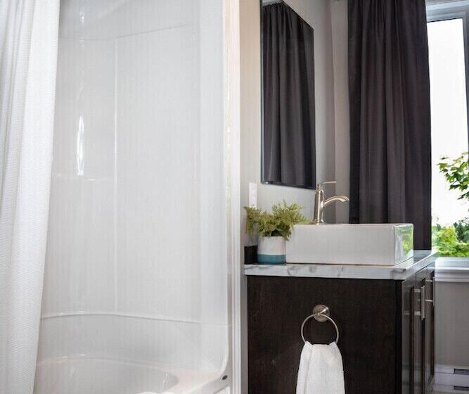 모텔 Newfound Inn & Suites