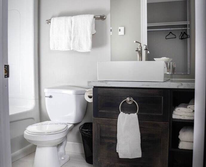 فندق على الطريق Newfound Inn & Suites