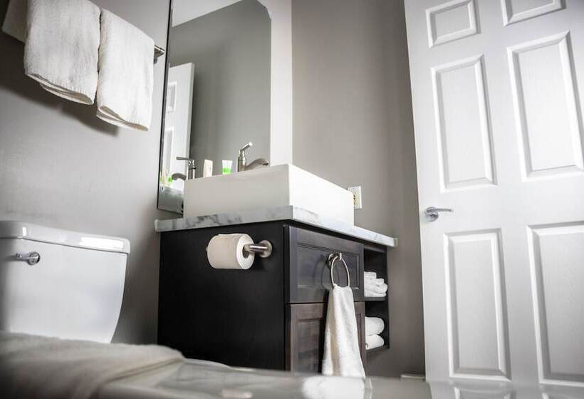 모텔 Newfound Inn & Suites