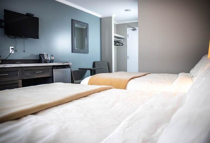 فندق على الطريق Newfound Inn & Suites
