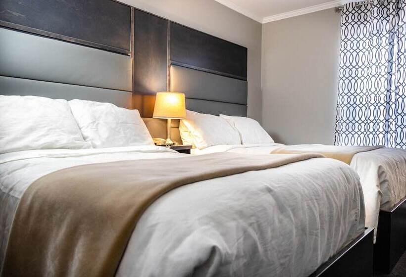 모텔 Newfound Inn & Suites