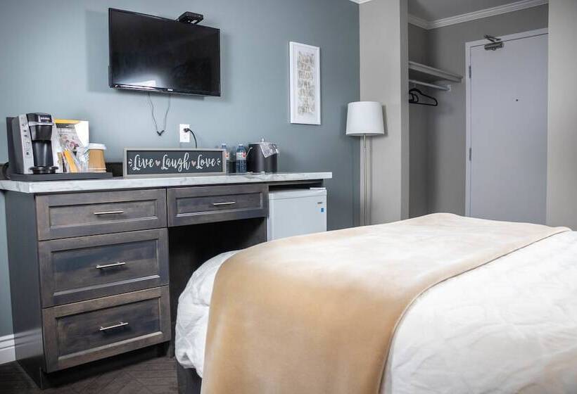 모텔 Newfound Inn & Suites