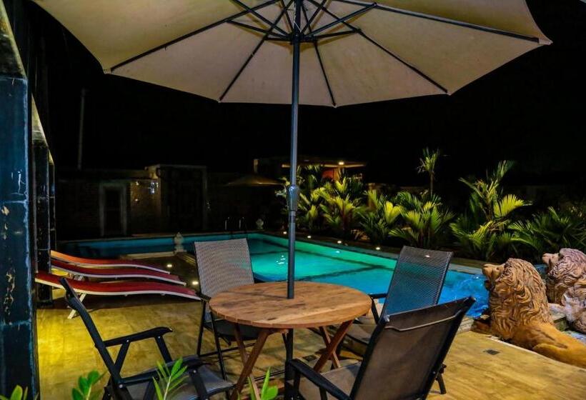 بنسيون D Family Resort