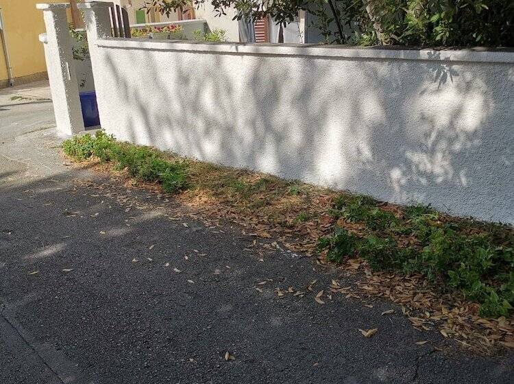 بنسيون Guest House Accommodation Rupine