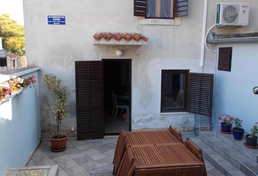 بنسيون Guest House Accommodation Rupine