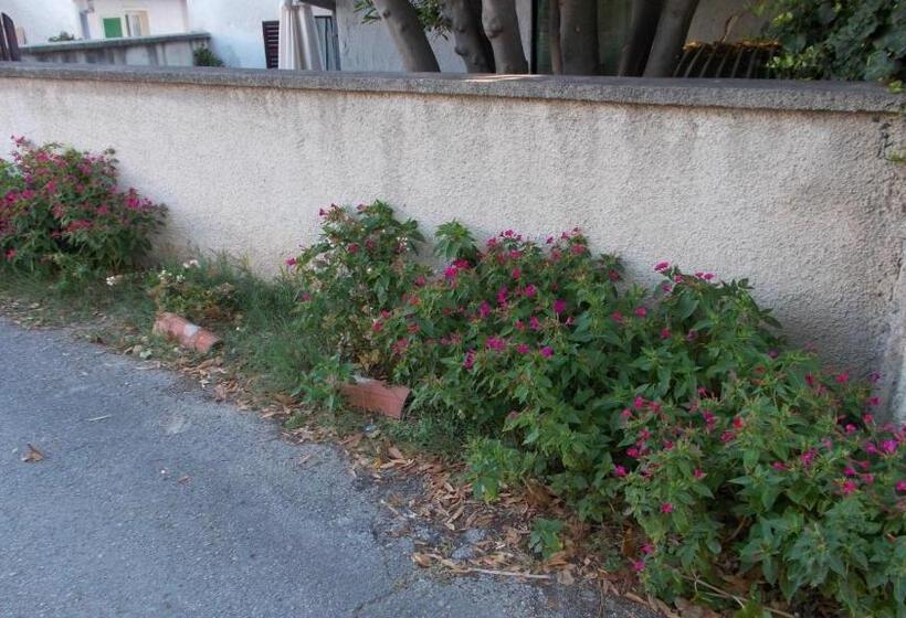 بنسيون Guest House Accommodation Rupine