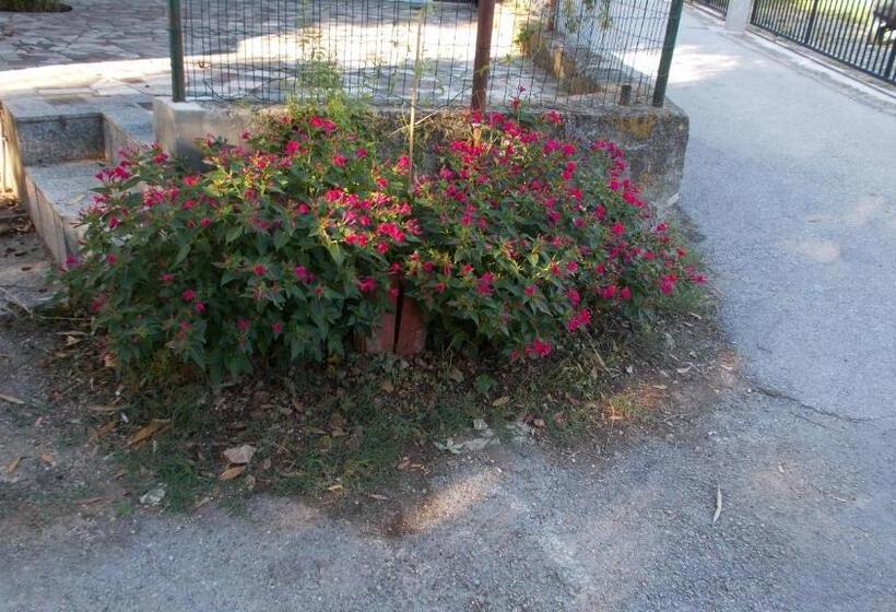 بنسيون Guest House Accommodation Rupine