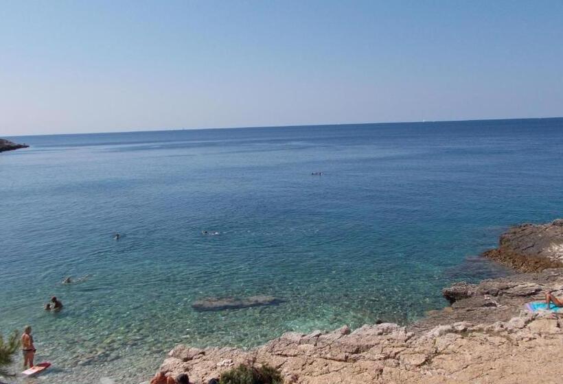 بنسيون Guest House Accommodation Rupine