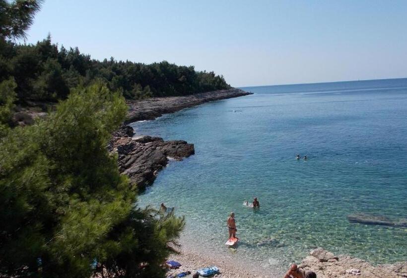 بنسيون Guest House Accommodation Rupine