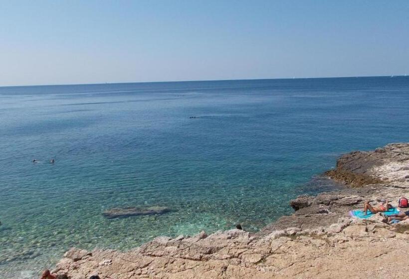 بنسيون Guest House Accommodation Rupine