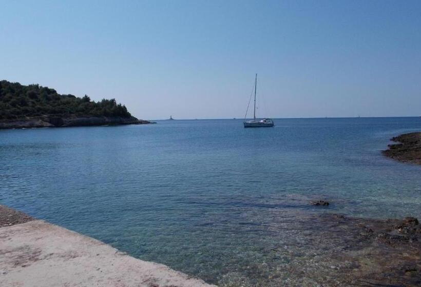 بنسيون Guest House Accommodation Rupine